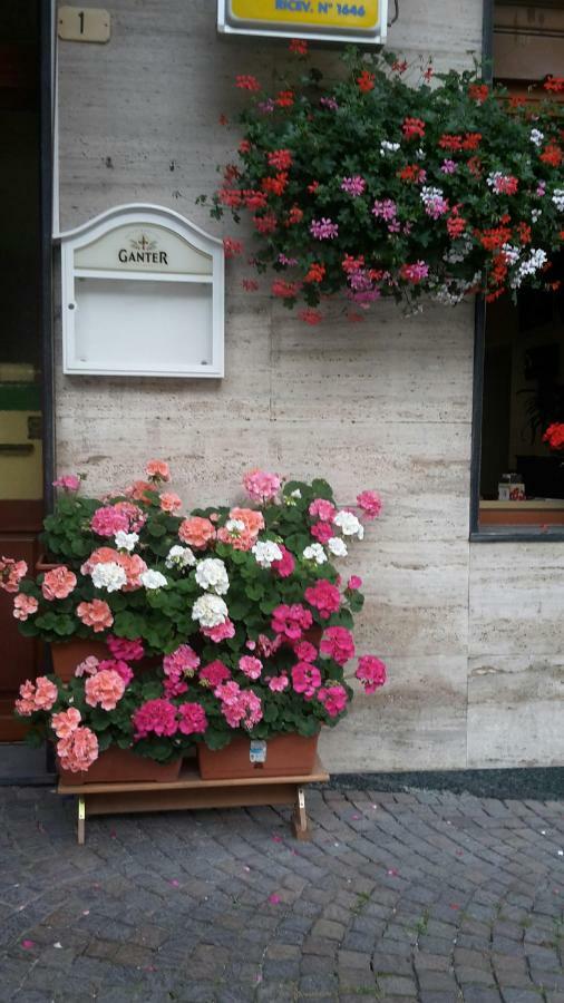 Albergo Ristorante Centro Vico Canavese エクステリア 写真